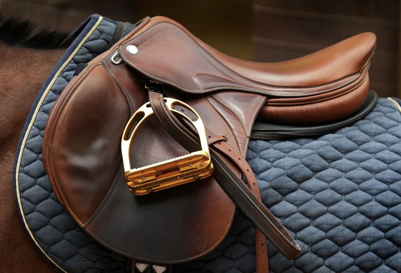English saddle on a horse